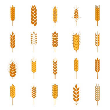 Basit buğday kulakları simgeler kümesi