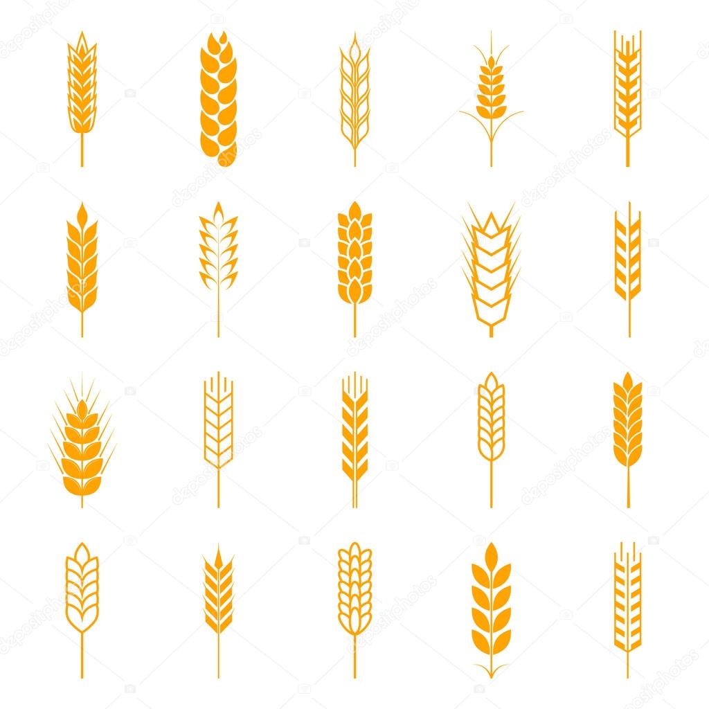 Set of simple wheat ears icons