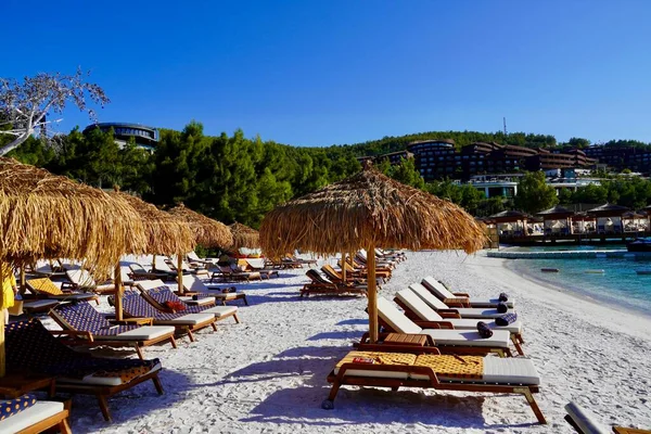 Etrafta palmiyeler olan güzel tropikal plaj manzarası. Tatil ve Tatil