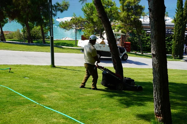 Bodrum, Türkiye - 2020 Ağustos, sıcak yaz günlerinde şapka ve maske takan yetişkin adam çimenleri kesiyor. Evde ve bahçede çalış, toprakla ilgilen. Oteldeki servis elemanları. 