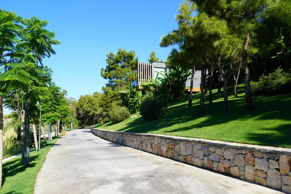 Harika yeşil parktaki patika ve sulu yeşil çimen
