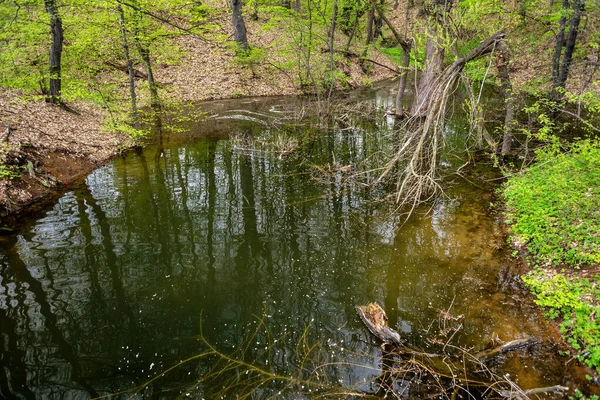 Bor Gölü (Borsko jezero), Sırbistan 'ın doğusunda Bor kenti yakınlarındaki yapay bir göl.