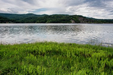 Bor Gölü (Borsko jezero), Sırbistan 'ın doğusunda Bor kenti yakınlarındaki yapay bir göl.