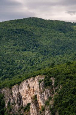 Sırbistan 'ın doğusundaki Bor kenti yakınlarındaki en derin ve en uzun kanyon olan Lazar Kanyonu / Lazarev kanyonunun dik kayalıkları