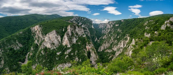 Sırbistan 'ın doğusundaki Bor kenti yakınlarındaki en derin ve en uzun kanyon olan Lazar Kanyonu / Lazarev kanyonunun dik kayalıkları