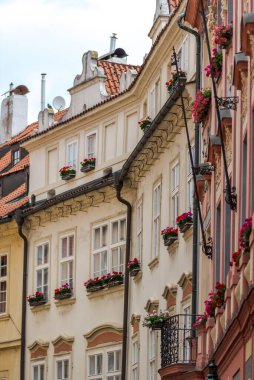Tarihi binaları ve çiçek kutularıyla büyüleyici Avrupa caddeleri.