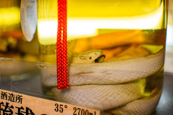 Кувшин из змеиного вина Окинавы, традиционный окинавский сакэ Хабу Хабу, приготовленный путем вливания ядовитой змеи в рисовый ликер Авамори в Нахе, Окинава, Япония, 26 февраля 2018 года