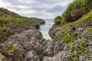 Rocky volcanic coastal landscape with lush greenery and ocean view in Okinawa, Japan