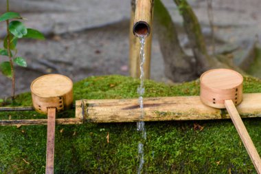 Traditional Japanese bamboo water fountain with ladles on moss.