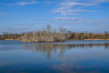 Mavi gökyüzünün altında çıplak ağaçlardan oluşan küçük bir ada olan sakin bir göl..