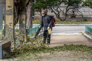 19 Kasım 2023 'te Güney Kore, Seul' deki bir parkta düşen yaprakları temizlemek için yaprak üfleyici kullanan bir adam.