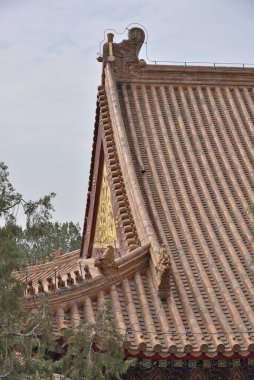 İmparatorluk çatı süslemeleri, Yaz Sarayı mimari detayları, Çin İmparatorluk bahçeleri ve sarayları kompleksi ve 20 Nisan 2024 'te Pekin, Çin' deki UNESCO Dünya Mirası Alanı