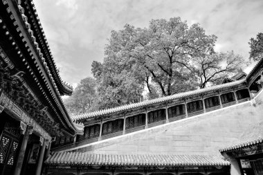 The Summer Palace 'ın Uzun Yaşam Tepesi' ndeki Budist Tütsü Kulesi 'ne (Foxiangge) çıkan merdiven, 20 Nisan 2024' te Pekin, Çin 'deki bahçe ve saraylar kompleksi ve UNESCO sahası.