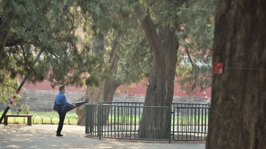 Çin 'in başkenti Pekin' deki Cennet Parkı 'nda 21 Nisan 2024' te Tai Chi pratiği yapan yaşlı bir adam.