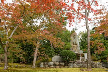 Japonya 'nın Kyoto kentinde 12 Kasım 2017' de sonbahar yapraklı Japon bahçesi