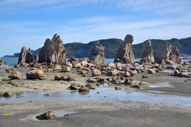 Hashigui Rocks natural stone formations in Kushimoto Town in Kii Peninsula of Wakayama Prefecture in Japan