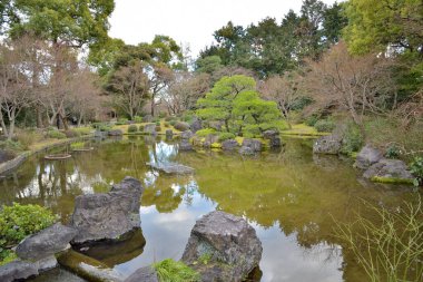 Havuzu, kayaları ve yemyeşil yemyeşil olan sakin Japon bahçesi..