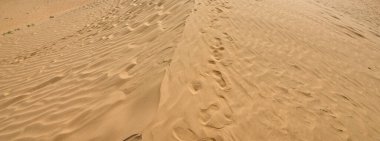 Çöl manzarasında kum tepeciklerindeki ayak izleri.