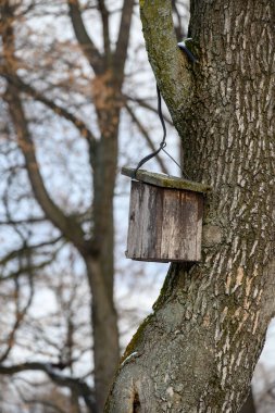 Ormandaki bir ağaç gövdesinde asılı kırsal ahşap bir kuş evi..