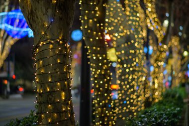 Ağaçlar gecenin bir yarısı şehrin caddesinde ışık saçar..