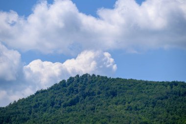 Pofuduk bulutlarla dolu masmavi bir gökyüzünün altında yemyeşil bir tepe.