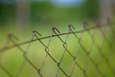 Bulanık yeşil arkaplanı olan paslı bir tel örgüye yakın plan..