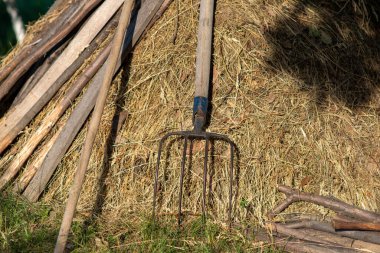 Yakınlarda ahşap direklerle samanlığa dayanan kır yabası, güneş ışığında kırsal alan, hasat ve tarım kavramı..