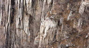 Dikey katmanlı kaya kayalık yüz engebeli taş dokular ve seyrek yapraksız çalılar, doğal vahşi doğa manzarası arka plan, toprak gri ve kahverengi tonlar.