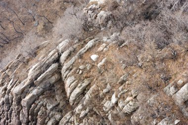 Katmanlı granit çıkıntıları, kuru çimenleri ve sessiz kış tonlarında yapraksız çalıları olan dik kayalık dağ yamacı; engebeli doğal doku arka planı.