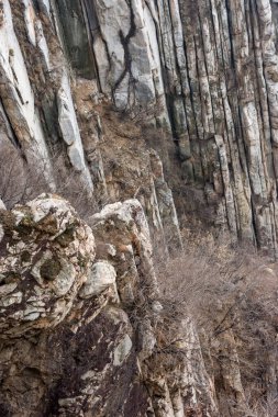 Dikey bazalt benzeri sütunları ve engebeli kayaları olan dik kayalık kayalar dağ yamacında kışın çıplak çalılar jeoloji ve açık hava temaları için dokulu doğal taş arka plan.