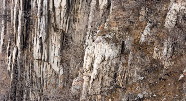 Dikey katmanlı kaya kayalık yüz engebeli taş dokular ve seyrek yapraksız çalılar, doğal vahşi doğa manzarası arka plan, toprak gri ve kahverengi tonlar.