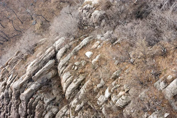 Katmanlı granit çıkıntıları, kuru çimenleri ve sessiz kış tonlarında yapraksız çalıları olan dik kayalık dağ yamacı; engebeli doğal doku arka planı.