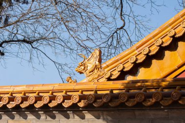 Altın yaldızlı geleneksel Çin tapınağı çatısı süslenmiş sırt canavarı ve kartonpiyer saçaklar, açık mavi gökyüzüne karşı çıplak ağaç dalları ile çerçevelenmiş.