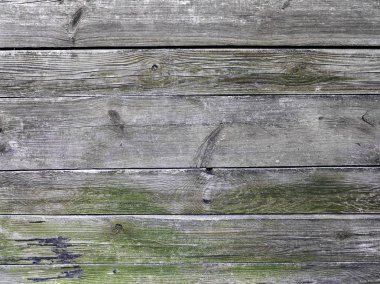 otantik yaratıcı eski kontrplak, mükemmel bir arka plan, konsantrasyon için