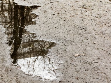 Yaprakları ve yağmur damlaları kaldırım veya asfalt yolda. Bu yağmur