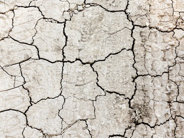 Texturierter Hintergrund einer trockenen rissigen Erdoberfläche. Dürre in Summe — Stockfoto