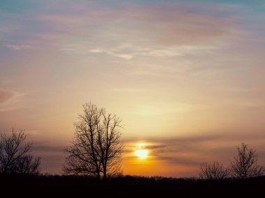 Gün batımlı siluet ağacı. Çayırın üzerinde parlak günbatımı manzarası ve üzerinde turuncu gökyüzü. Günbatımı ve gündoğumu muhteşem..
