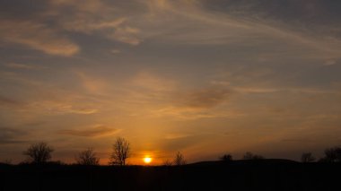 Gün batımlı siluet ağacı. Üzerindeki çayır ve turuncu gökyüzü üzerinde parlayan güzel günbatımı manzarası. Günbatımı ve gün doğumu. Doğanın günbatımı / gün doğumu..