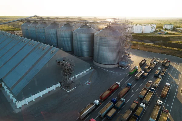 Grain Terminals Modern Sea Commercial Port Silos Storing Grain Rays — Stock Photo, Image