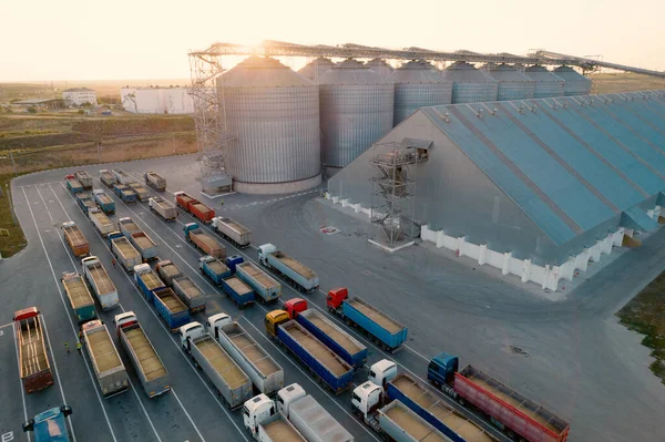 近代的な海の商業港の穀物ターミナル 夕日の光線に穀物を格納するためのサイロ 多くのトラックが港への積み降ろしを待っています 四角形の上からの眺めです — ストック写真