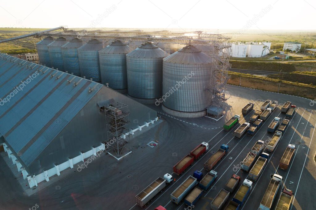 Grain terminals of modern sea commercial port. Silos for storing grain in rays of setting sun. Many trucks are waiting in line for unloading in port harbor, top view from quadcopter. Logistics, trade
