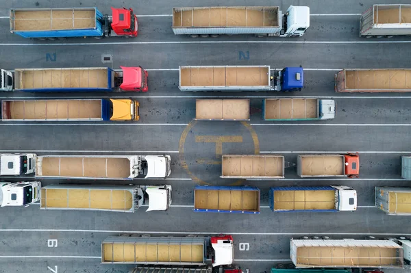 Top View Quadcopter Trucks Loaded Grain Many Trucks Waiting Line — Stock Photo, Image