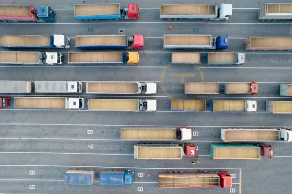 Many Trucks Waiting Line Unloading Port Harbor Top View Quadcopter — Stock Photo, Image