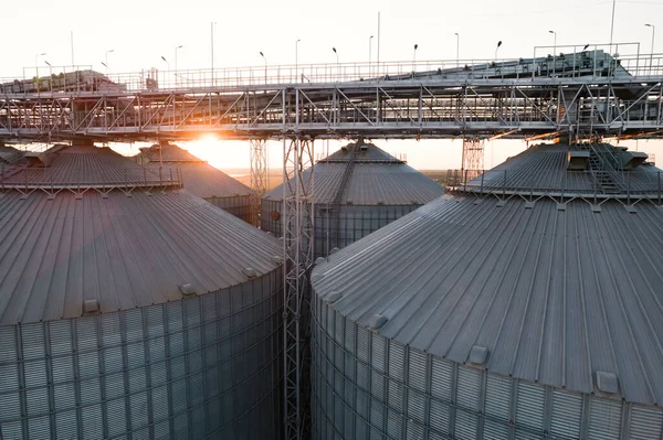 近代的な海の商業港の穀物ターミナル 太陽を沈む光線に穀物を格納するためのサイロ クワッドコプターからのトップビュー 工業的背景 — ストック写真