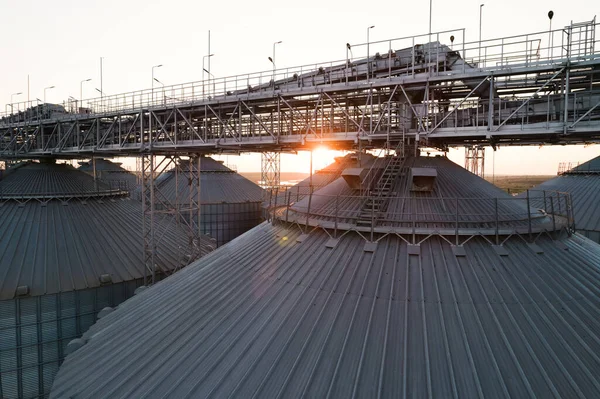 Grain Terminals Modern Sea Commercial Port Silos Storing Grain Rays — Stock Photo, Image