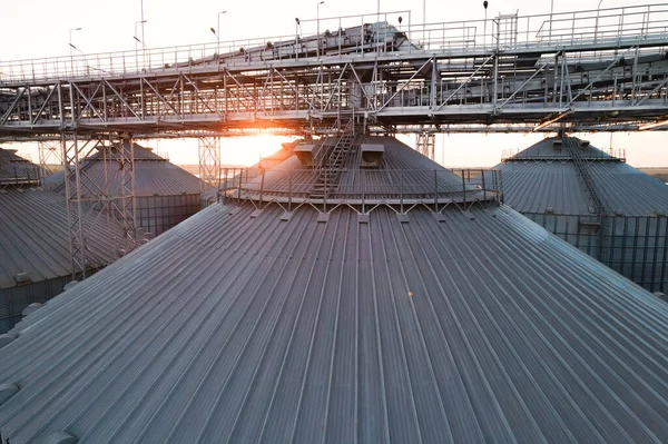 Grain Terminals Modern Sea Commercial Port Silos Storing Grain Rays — Stock Photo, Image