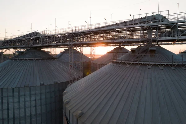 Grain Terminals Modern Sea Commercial Port Silos Storing Grain Rays — Stock Photo, Image