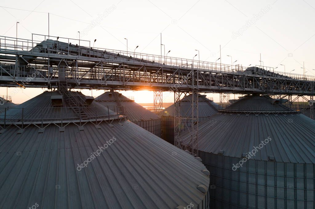 Grain terminals of modern sea commercial port. Silos for storing grain in rays of setting sun, top view from quadcopter. Industrial background. Logistics