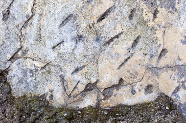 Beton abstract, çatlak ve çizikler ile yıpranmış. landscap