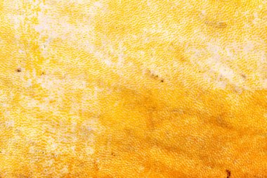 Arka plan sarı ve kahverengi parlak tonlarında